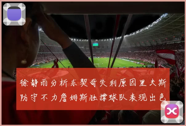 徐静雨分析东契奇失利原因里夫斯防守不力詹姆斯独撑球队表现出色