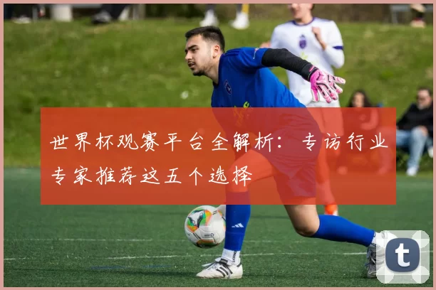 世界杯观赛平台全解析：专访行业专家推荐这五个选择