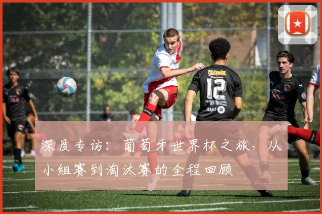 深度专访:葡萄牙世界杯之旅,从小组赛到淘汰赛的全程回顾