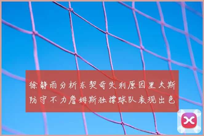 徐静雨分析东契奇失利原因里夫斯防守不力詹姆斯独撑球队表现出色