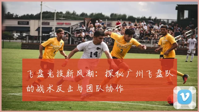 飞盘竞技新风潮：探秘广州飞盘队的战术反击与团队协作