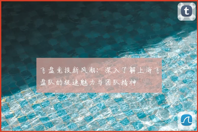 飞盘竞技新风潮：深入了解上海飞盘队的极速魅力与团队精神