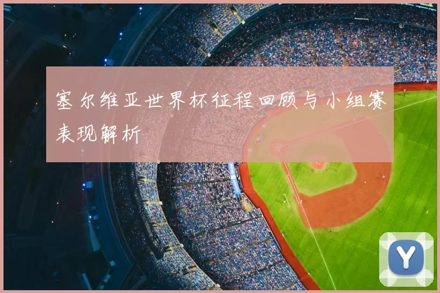 塞尔维亚世界杯征程回顾与小组赛表现解析