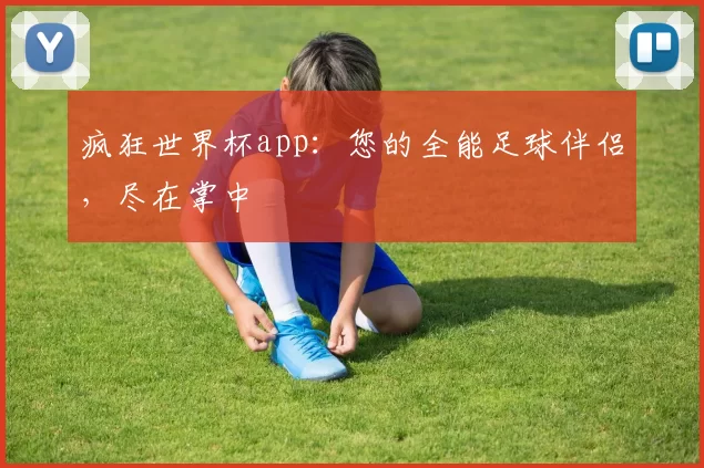 疯狂世界杯app:您的全能足球伴侣,尽在掌中