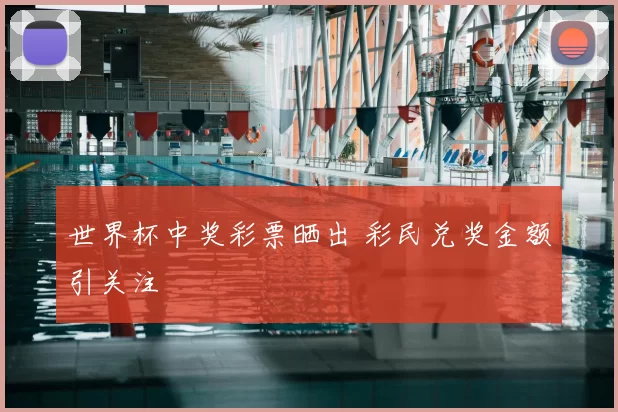 世界杯中奖彩票晒出 彩民兑奖金额引关注
