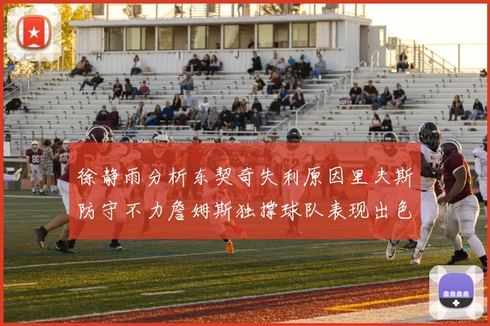 徐静雨分析东契奇失利原因里夫斯防守不力詹姆斯独撑球队表现出色