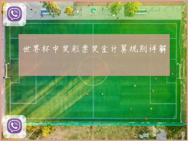 世界杯中奖彩票奖金计算规则详解