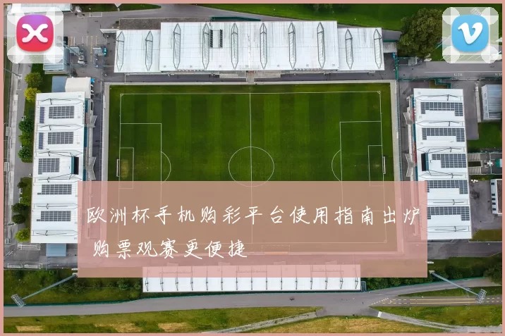 欧洲杯手机购彩平台使用指南出炉 购票观赛更便捷