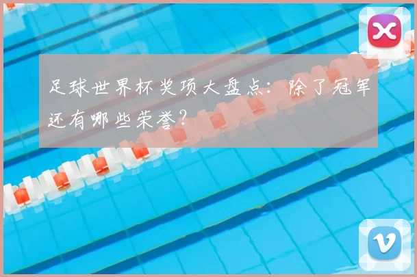 足球世界杯奖项大盘点：除了冠军还有哪些荣誉？