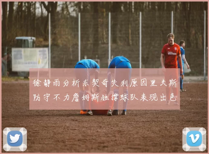 徐静雨分析东契奇失利原因里夫斯防守不力詹姆斯独撑球队表现出色