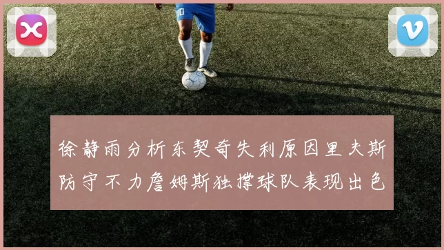徐静雨分析东契奇失利原因里夫斯防守不力詹姆斯独撑球队表现出色