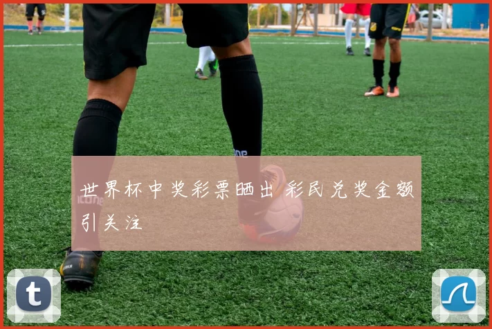 世界杯中奖彩票晒出 彩民兑奖金额引关注