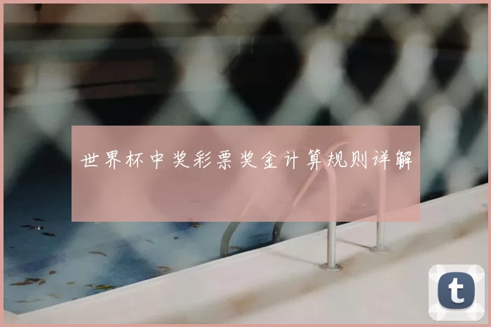 世界杯中奖彩票奖金计算规则详解