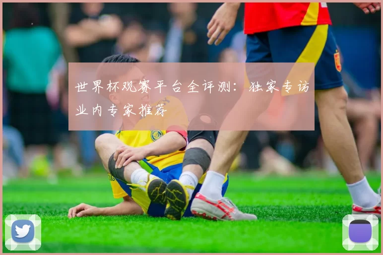 世界杯观赛平台全评测：独家专访业内专家推荐