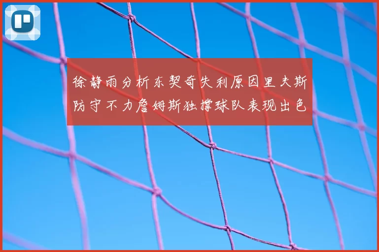 徐静雨分析东契奇失利原因里夫斯防守不力詹姆斯独撑球队表现出色