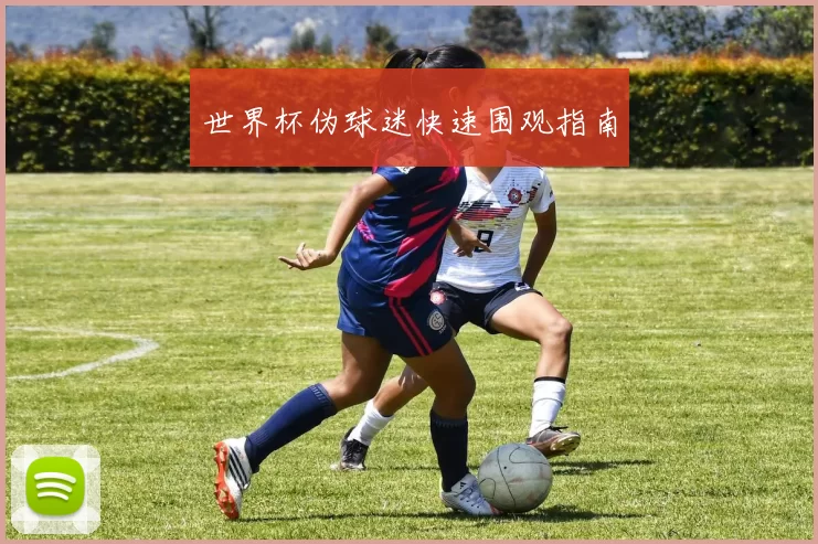 世界杯伪球迷快速围观指南
