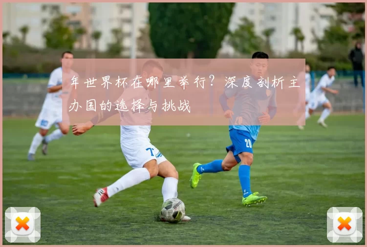 年世界杯在哪里举行？深度剖析主办国的选择与挑战