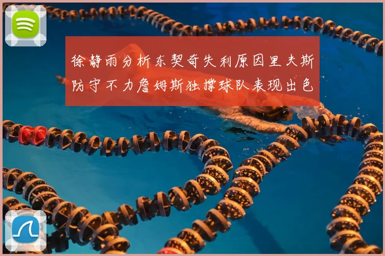 徐静雨分析东契奇失利原因里夫斯防守不力詹姆斯独撑球队表现出色