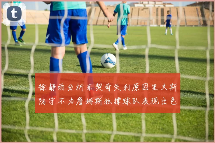 徐静雨分析东契奇失利原因里夫斯防守不力詹姆斯独撑球队表现出色