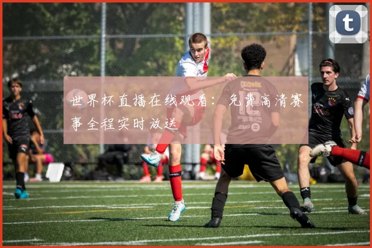 世界杯直播在线观看:免费高清赛事全程实时放送