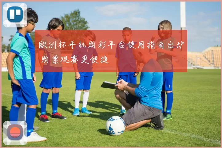 欧洲杯手机购彩平台使用指南出炉 购票观赛更便捷