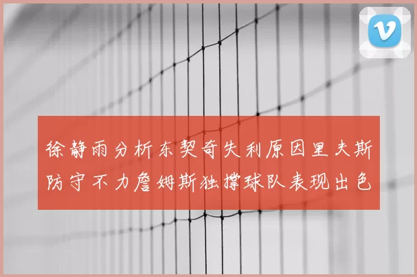 徐静雨分析东契奇失利原因里夫斯防守不力詹姆斯独撑球队表现出色